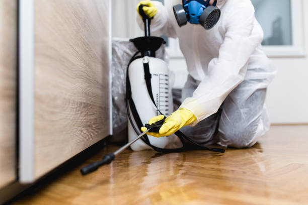 Pest Prevention Services in Berne, IN