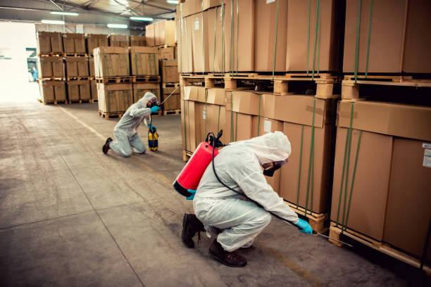 Best Pest Control Near Me  in Berne, IN