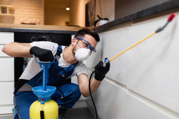 Best Affordable Pest Control Services  in Berne, IN