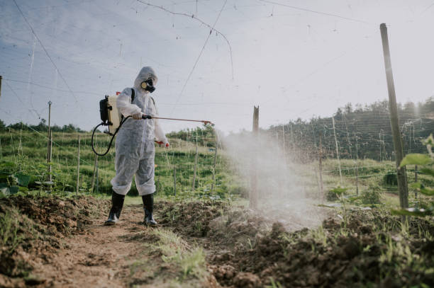 Best Pest Removal Services  in Berne, IN