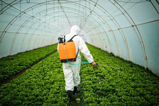 Pest Prevention Services in Berne, IN