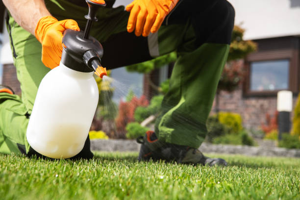 Best Affordable Pest Control Services  in Berne, IN