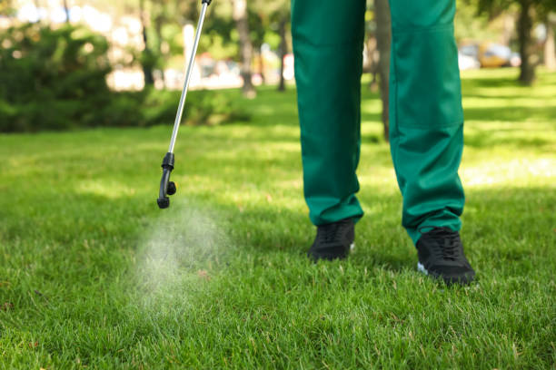 Best Local Pest Control Services  in Berne, IN