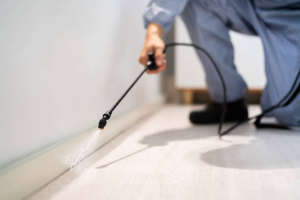Professional Pest Control in Berne, IN