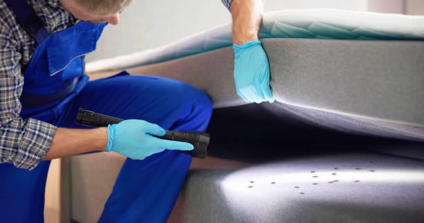 Best Affordable Pest Control Services  in Berne, IN