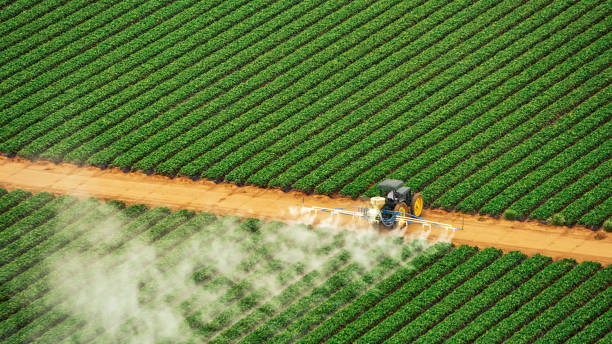 Best Pest Control for Homes  in Berne, IN