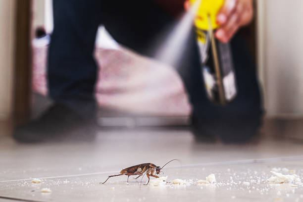 Best Ant Control Services  in Berne, IN