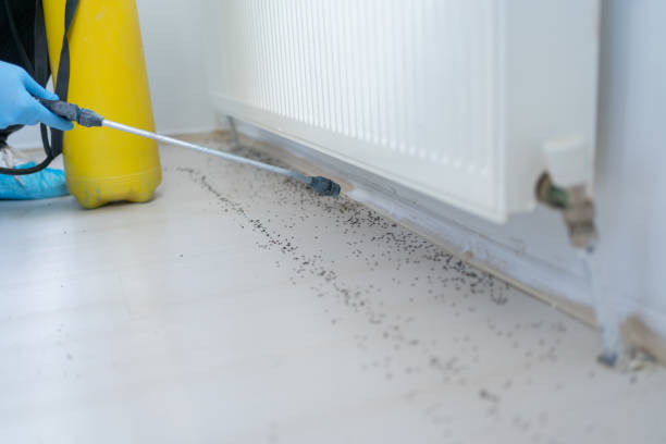 Best Emergency Pest Control  in Berne, IN
