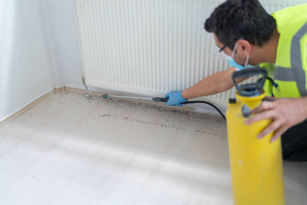Best Rat Extermination Near Me  in Berne, IN