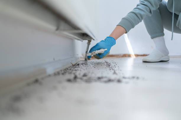 Best Residential Pest Control  in Berne, IN